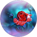 Dmitry Vorobyov profile picture